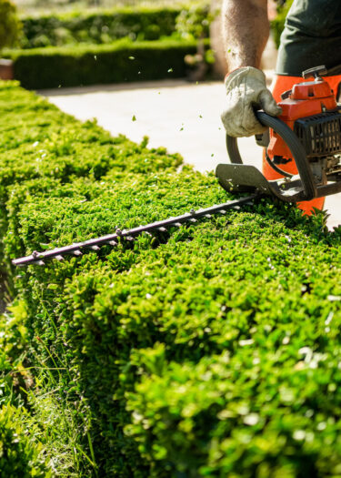 Gartenservice Paderborn Gartenservice Paderborn